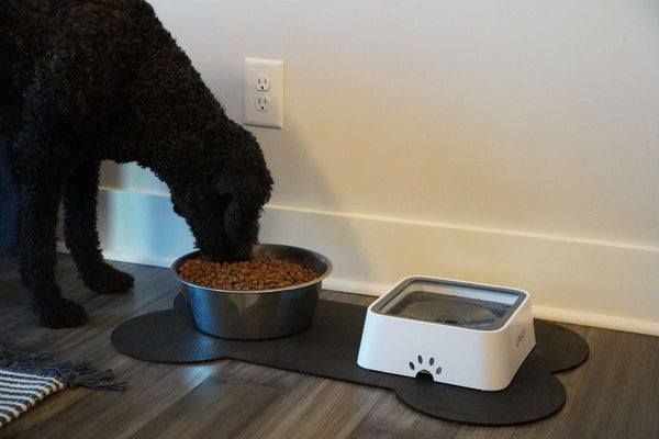 Doggo Dog Bowl Mat