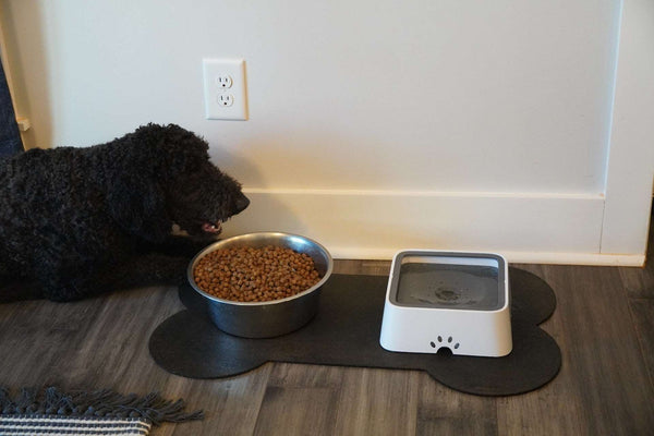 Doggo Dog Bowl Mat