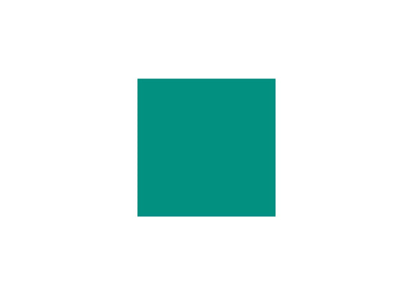 Lux-Flex Stone/Lux-Flex Wood/Aqua-flex tile Edges Teal Green 1.75"x12" 1 2"
